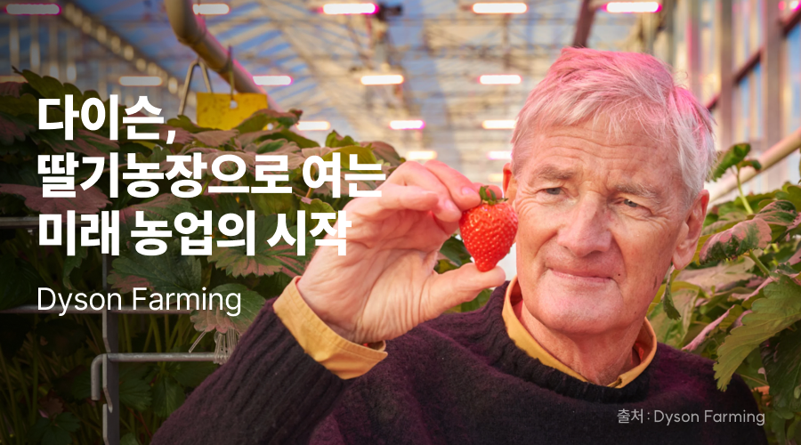 다이슨, 딸기농장으로 여는 미래 농업의 시작